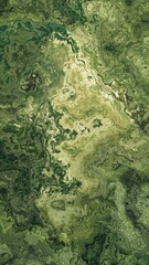 texture motif. texture pattern. marble motif. camouflage. abstract motif. ceramics