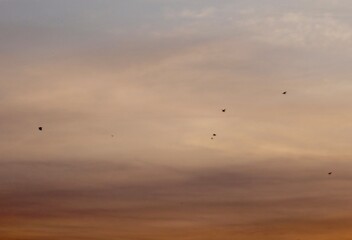 photo of a clear orange sky in the morning