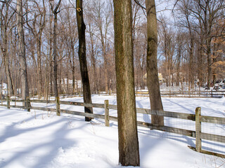 backyard covered with snow in winter	