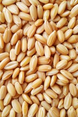Close up picture of a pile of wheat