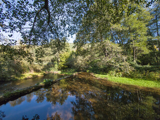 Obraz premium Landscape of Iskar river near Pancharevo lake, Bulgaria