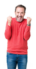 Fototapeta premium Handsome middle age hoary senior man wearing winter sweater over isolated background celebrating surprised and amazed for success with arms raised and open eyes. Winner concept.