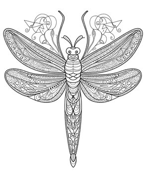 recommend clip art: Intricate Mandala Dragonfly Line Art on White Background