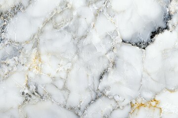Beautiful white marble slab with subtle gray and gold veining showcasing natural elegance in a home interior