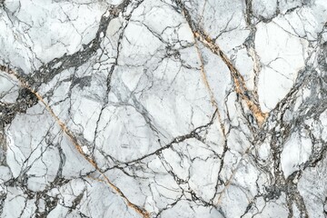 Elegant gray and white marble texture with gold veins showcasing natural stone beauty in a modern setting