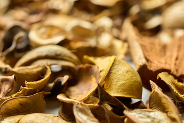 テーブルに置かれたたくさんの落ち葉や松ぼっくり