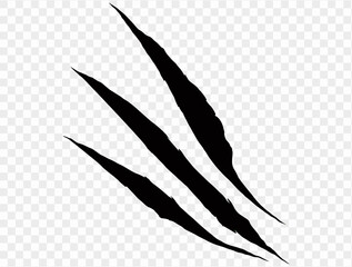 24-Claw_scratches_36-40