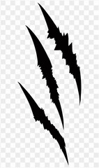 24-Claw_scratches_36-40