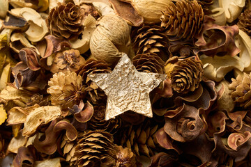 たくさんの落ち葉の中にある星型の装飾