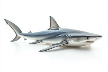 the beside view Thresher Shark, left side view, white copy space on right, Isolated on White Background