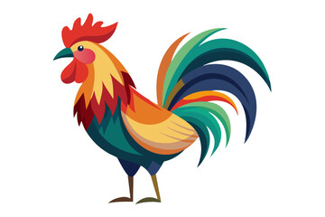 Beautiful rooster vector art and illustration