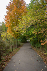 Naklejka premium path in autumn park
