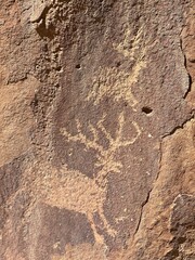Elk Petroglyph