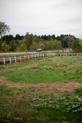 old farm road