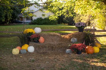 patch in autumn