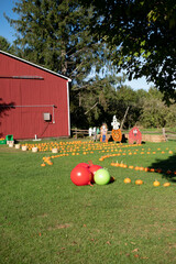 balls and pumpkins on the farm