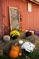 halloween pumpkin on a table