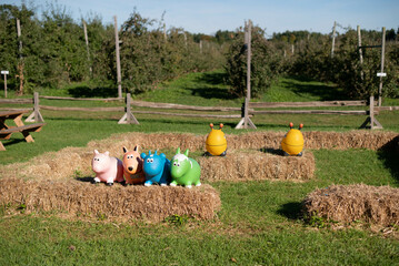 bales in the field