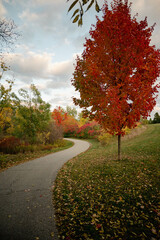autumn in the park