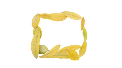 yellow autumn leaf frame background for Halloween and Thanksgiving