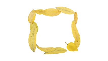 yellow autumn leaf frame background for Halloween and Thanksgiving