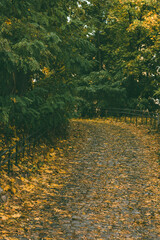 Fototapeta premium A winding, leaf-covered stone path surrounded by lush green trees on an autumn day, with yellow leaves scattered across the wet ground, and a black metal railing on the two side. 