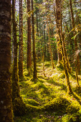 Hiking in Juneau, Alaska