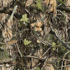 Mossy Oak Tree with Oak Leaves Hunting Camouflage, Seamless Camo Pattern Texture