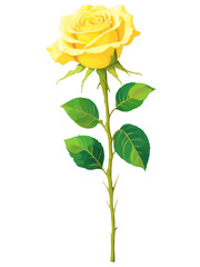 Obraz premium Yellow rose hand drawn paint art illustration painting isolated white background transparent png