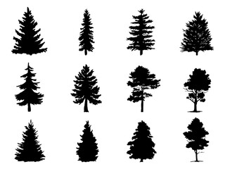Obraz premium Black Branch Tree or Naked trees silhouettes set. Hand drawn isolated illustrations.