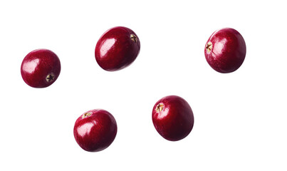 Cranberries on transparent background 
