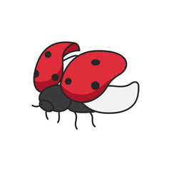 ladybug illustration