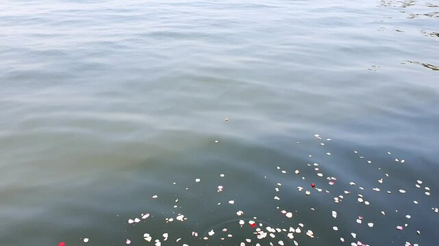 Performing a seaside ritual with scattering flowers at sea. prayers for deceased ancestors or family members