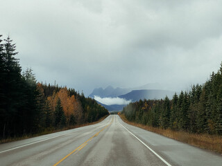 Naklejka premium Road in Canadian Rockies, Alberta, Canada. Cloudy day.