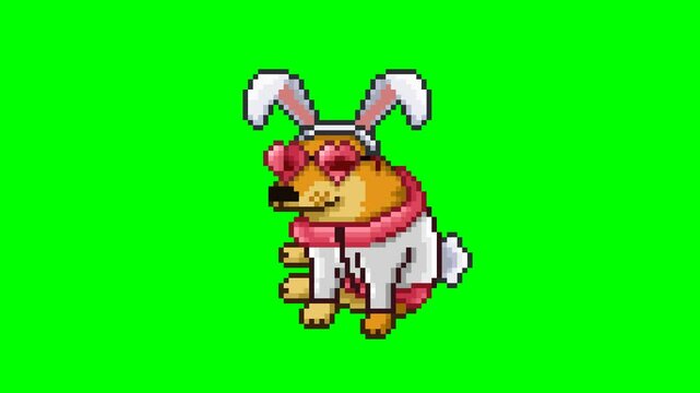 Dog dressed as a bunny, pixel art meme animation 