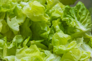 Blur fresh green lettuce is perfect for making salads to healthy meal.