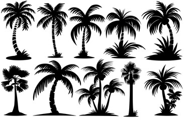 Fototapeta premium Palm tree set silhouettes in black color isolated on a white background