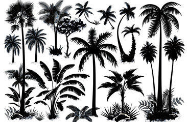 Palm tree set silhouettes in black color isolated on a white background