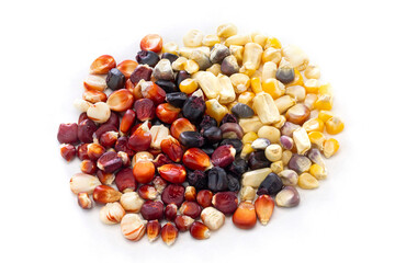 Some corn seeds of different colors are on a white background.