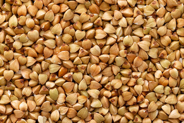 close up of green buckwheat.