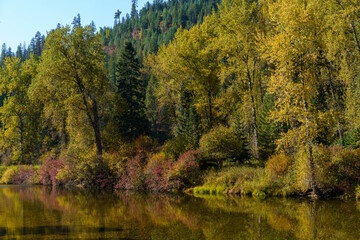 North Fork CDA River