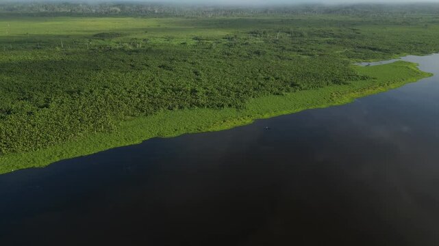 Aerial view of the Amazon rivers of the Peruvian jungle, a drone view of the Amazon rainforest surrounded by water