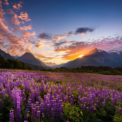 Obraz premium A vibrant field of purple flowers flourishes beneath a breathtaking sunset, framed by majestic mountains and a kaleidoscope of clouds, embodying nature's serene beauty.