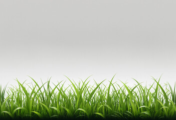 Fototapeta premium green grass on a white background