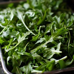 Fototapeta premium Fresh arugula leaves on a rustic wooden board.
