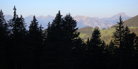 Alpine Landscape In Summer