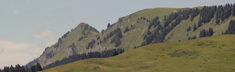 Panoramic Alpine Landscape