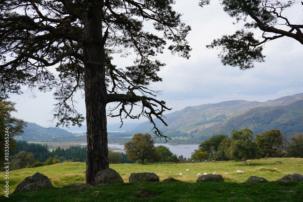 Wall mural outlander film location the stones