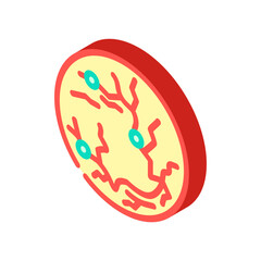 Fototapeta premium retina scan biometric isometric icon vector. retina scan biometric sign. isolated symbol illustration
