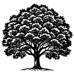 big tree. Oaktree vector on a white background.silhouette 
